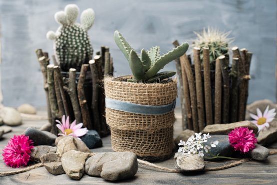 Upcycling